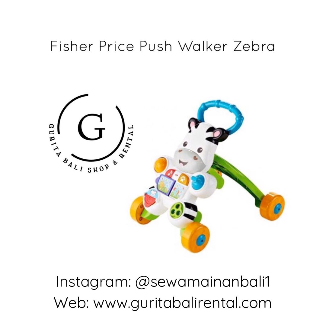 PUSH WALKER ZEBRA 1