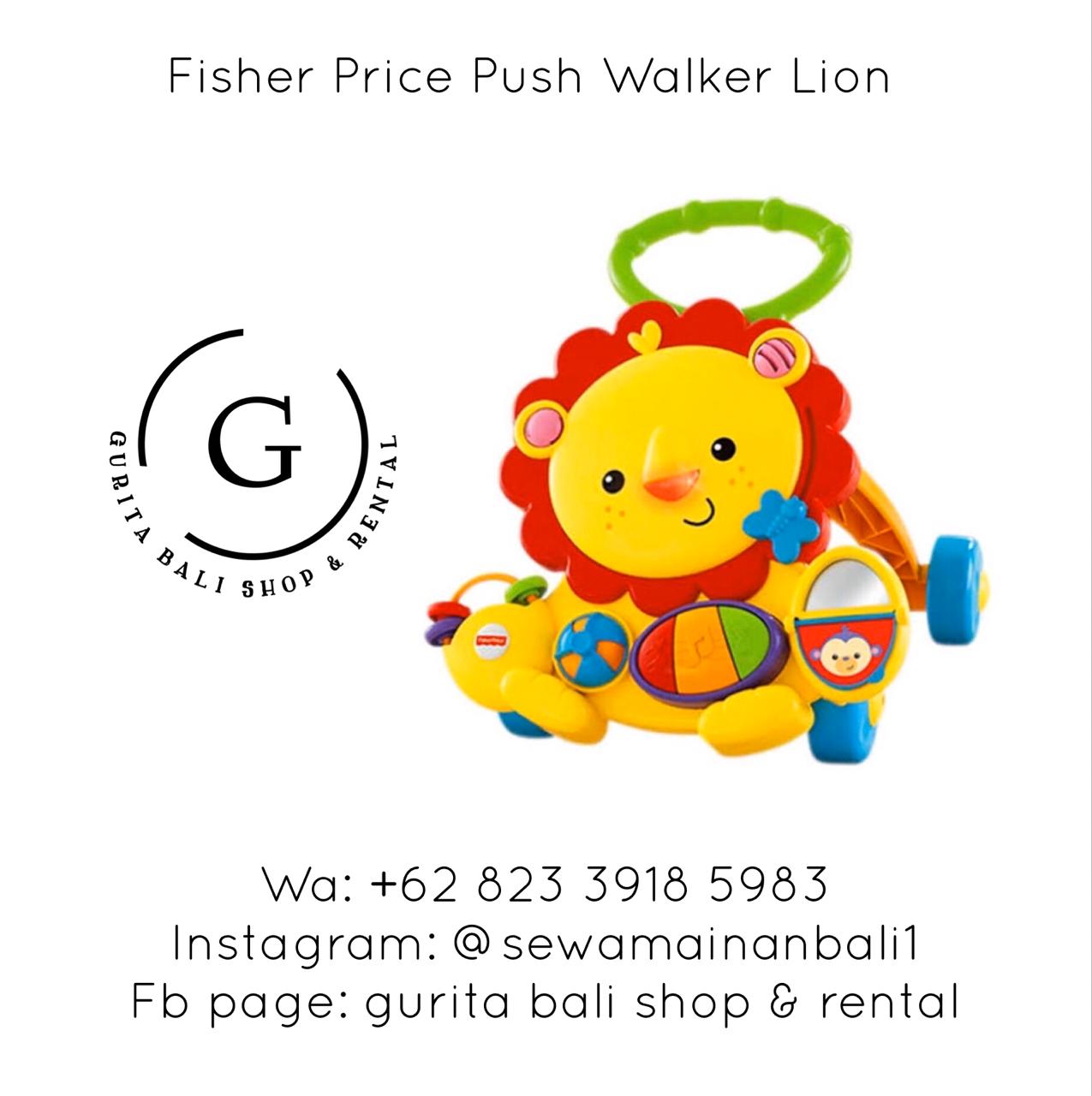 PUSH WALKER LION 4