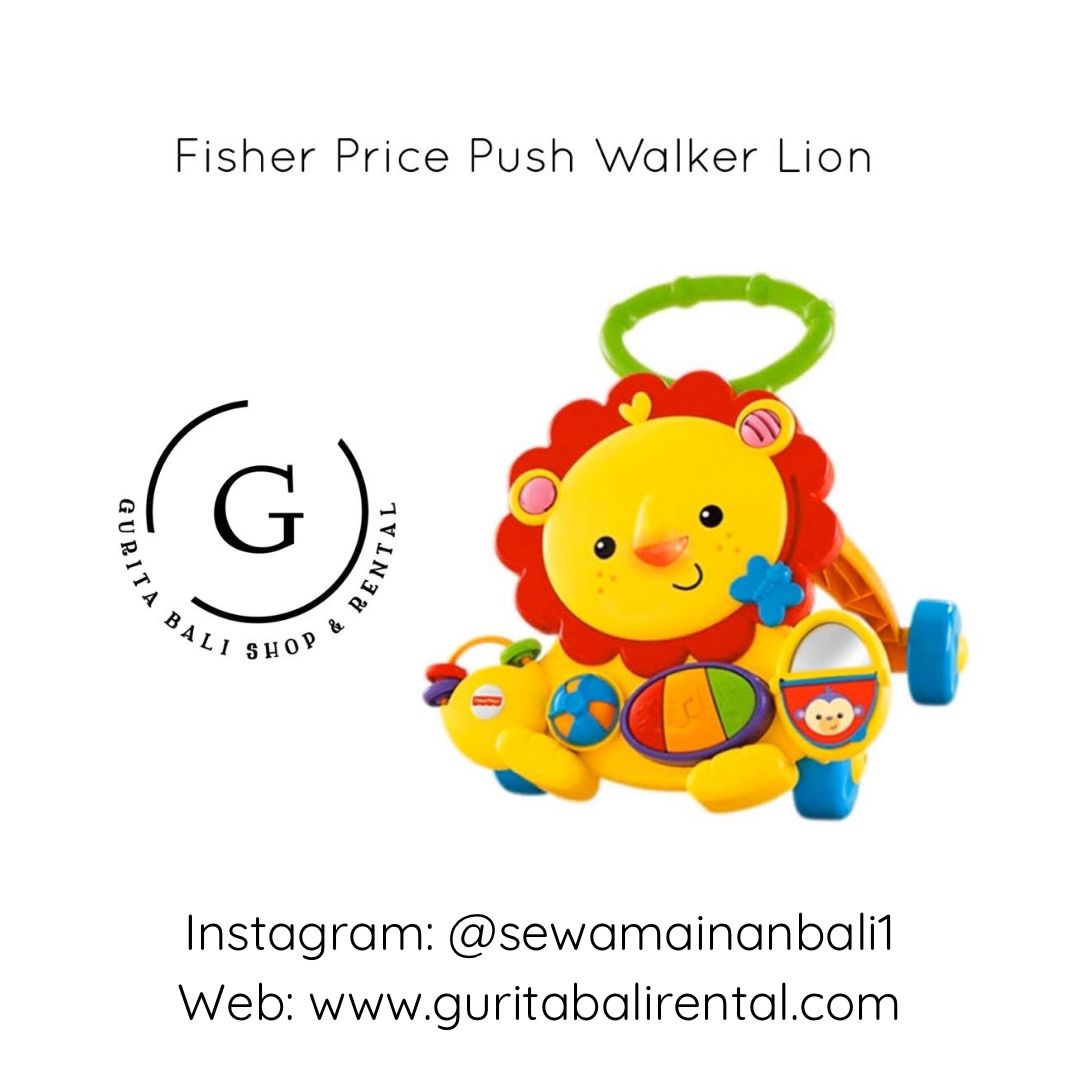 PUSH WALKER LION 3
